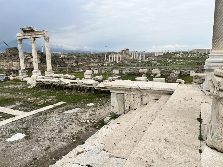 5AE6D6C6-06C7-4FC3-908F-1F9FF8256FBF_1_102_o