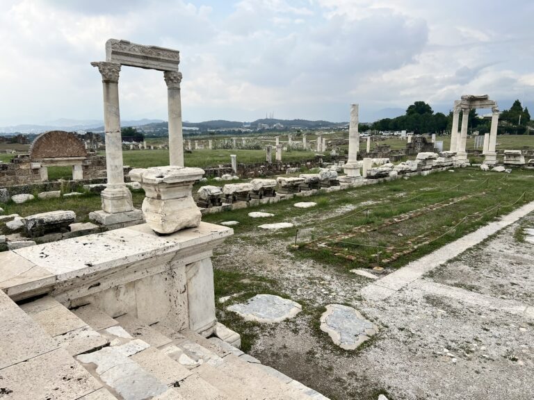 E28C7E70-333A-42E2-AE5D-CE2E93154403_1_102_o