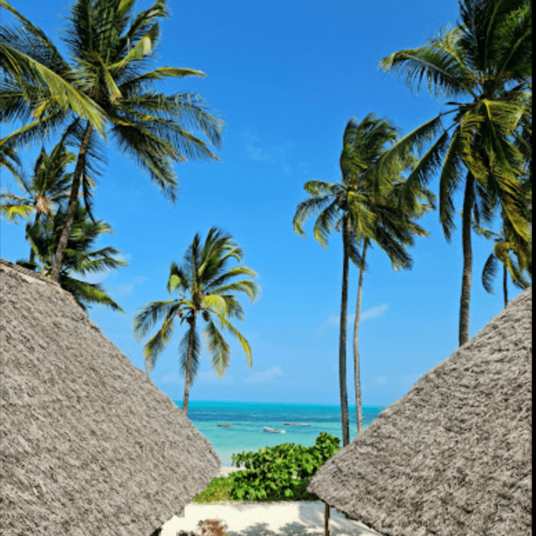 Zanzibar3