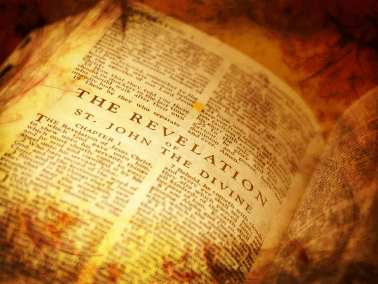 TD - Actual Trips (6)